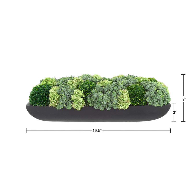 Jerez Faux Succulent in Fiberstone Planter, Black