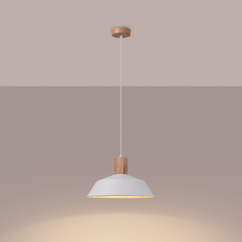 1 - Light Stainless Steel Pendant, White