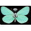 Papillon Tiffany (horizontal) - impression-705337227-705337226