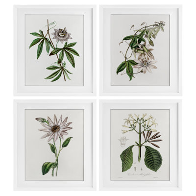 Various Vintage Botanicals 4pc Framed Print Under Glass Set, design by CAD Designs