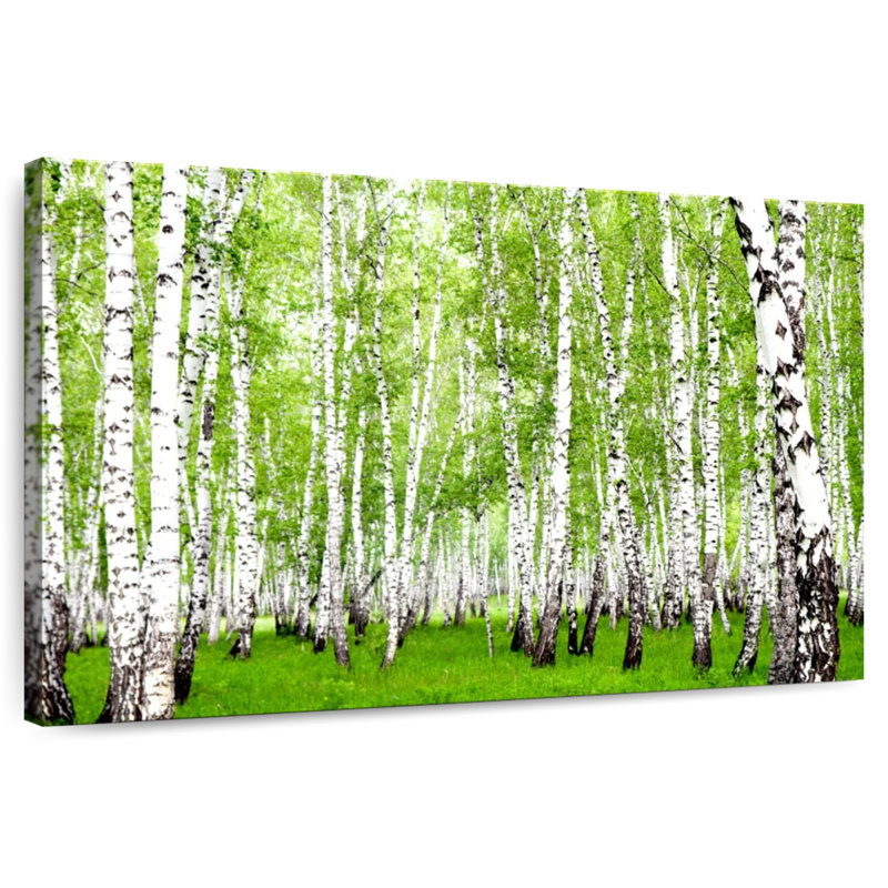 Harnek Green Birch Trees, 32" H x 48" W