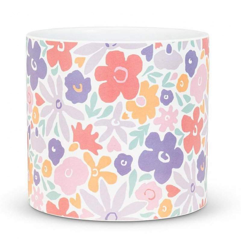 Anscombe Ceramic Cachepot, 6" H x 6.5" W x 6.5" D