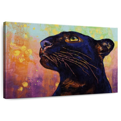 Couleurs de la panthère