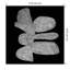 «Craft» encadré sur papier par Dan Hobday, reproduction-17115357-17115356