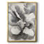 Neutral Wash II - impression d'un seul cadre photo-260189648-260189649