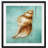 Conch - Matted and Framed Under Acrylic Glass, Large Living Room Wall Art-1753952249