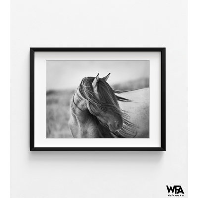 «Fierce Grace» par Tony Stromberg, noir et blanc, chambre d'amis équestre, Inspo