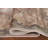 Traditional Oriental Area Rug 7x10