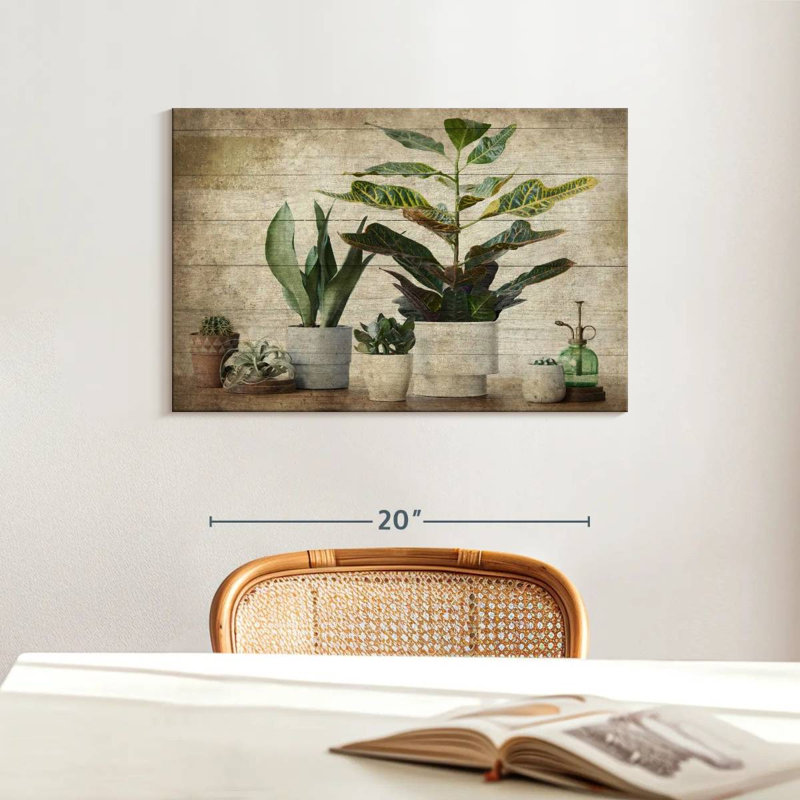Plantes d'intérieur en bois Harnek, H 16 po x l 24 po