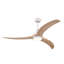 Ventilateur de plafond 52 po-1070998728-1070998730