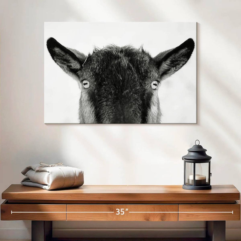 Peeking Black Goat, 16" H x 24" W
