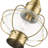 Aster Outdoor Hanging Lantern-1189298494