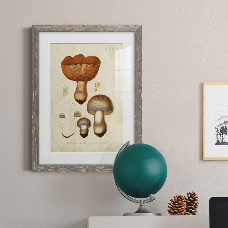 Champignon Variétés I encadré mat - prêt à accrocher, H 38 po x l 28 po x P 1 po, Cadre gris