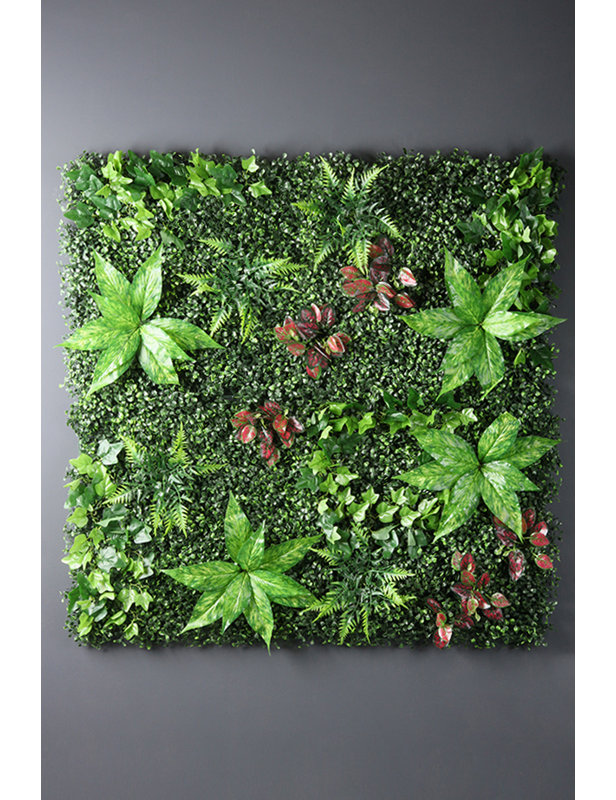 100x100cm Living Wall Panel - Mixed Foliage