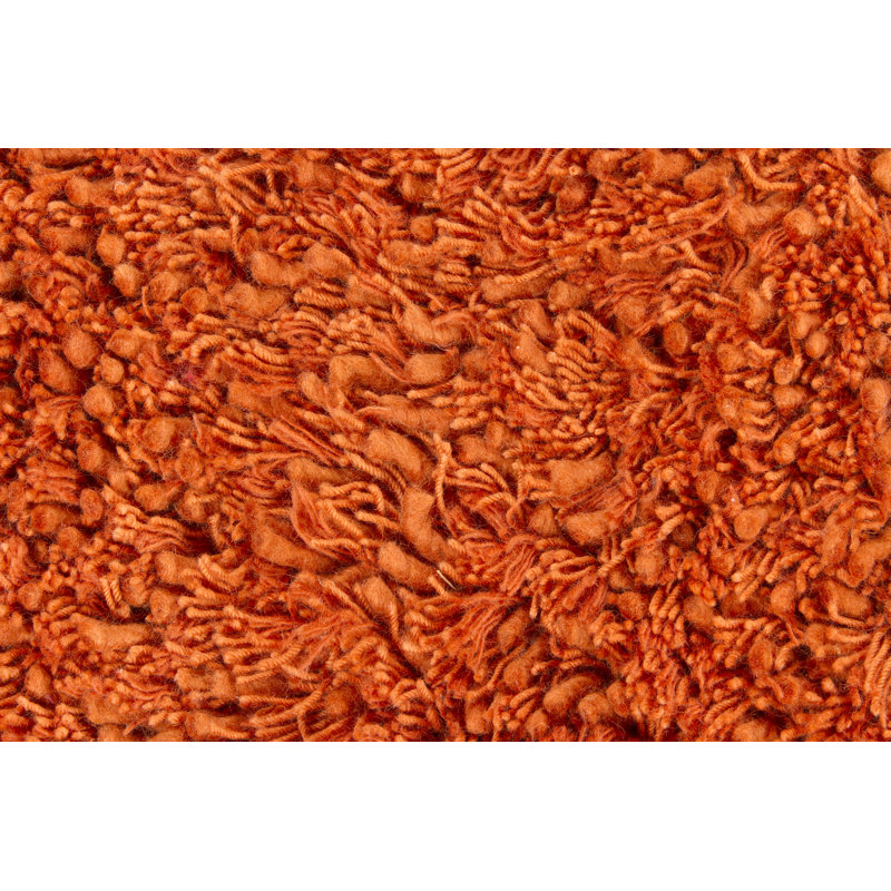 Tapis orange en laine à poils longs Eastwood, Rectangle 2 pi x 3 pi