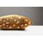 Wild Glamour Lumbar Pillow Cover & Insert-84974526