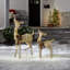 The Holiday Aisle® Fawn with Doe with LED Lights