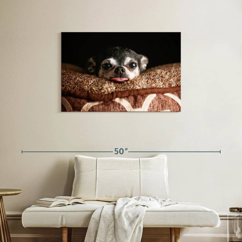 Playful Chihuahua, 24" H x 36" W