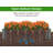 Raised Garden Bed, Outdoor Wood Planter Box