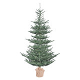 Alberta Blue Spruce Artificial Christmas Tree with Clear Lights