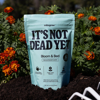 Bio-stimulant Mitogrow Bloom & Bed Plant