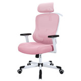 Mazlack Ergonomic Mesh Office Chair with 6D Headrest, Adjustable Lumbar, Flip-up Arms