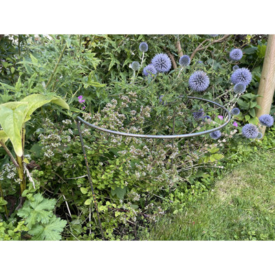 Babken Metal Plant Support