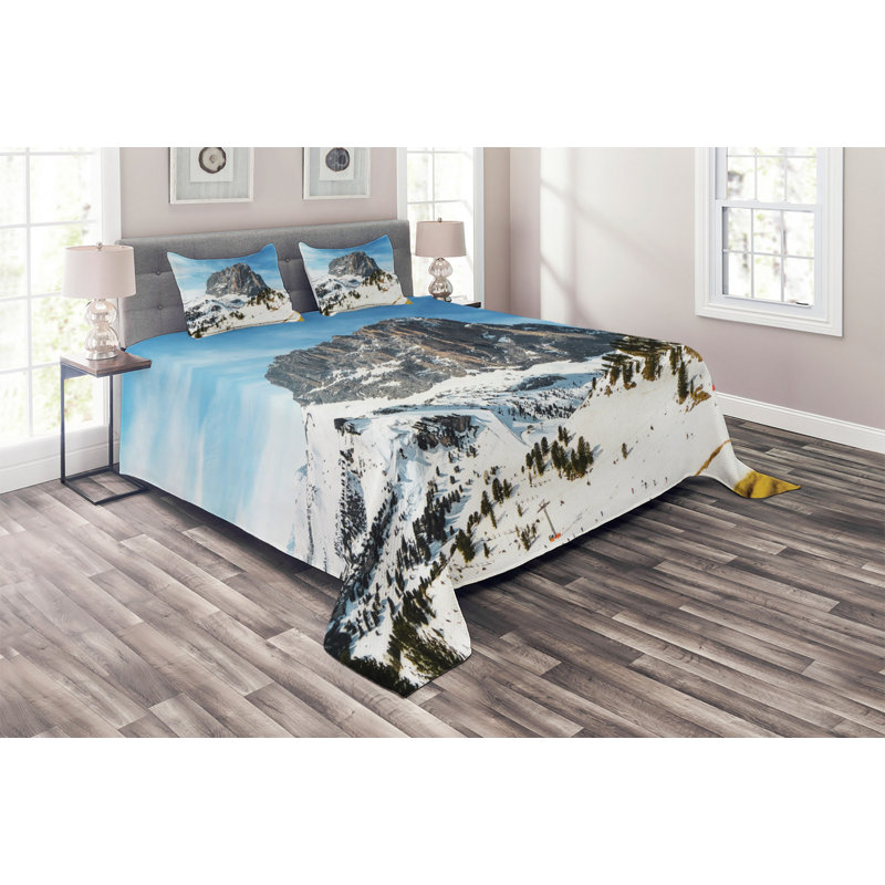Modern & Contemporary Polyester Coverlet