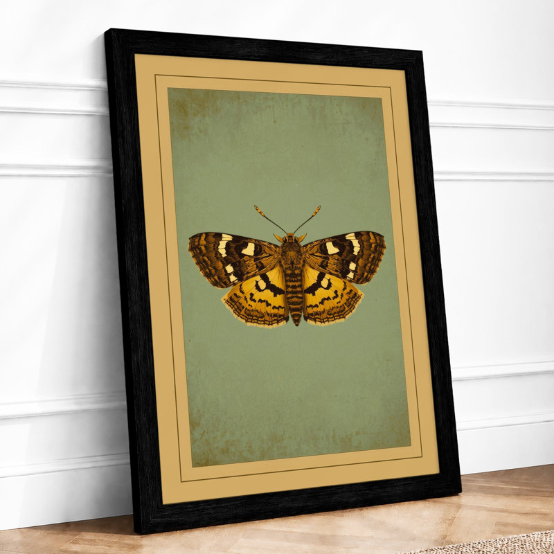 Butterfly Study Vintage - Print, A1 - 84.1 x 59.4 cm, Black