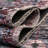 Hazlett Rug_Multi-233970602