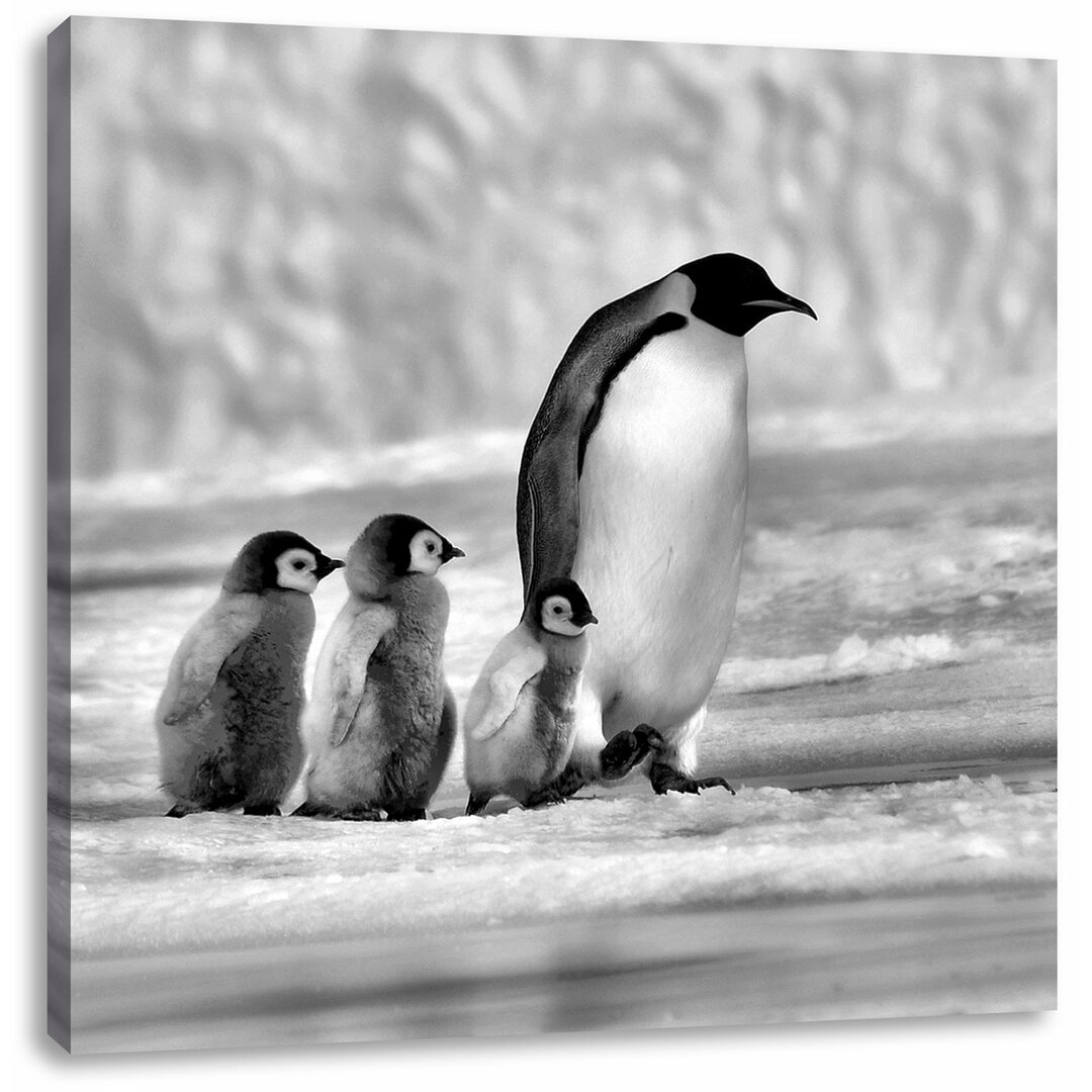 Leinwandbild Kaiserpinguine im Schnee