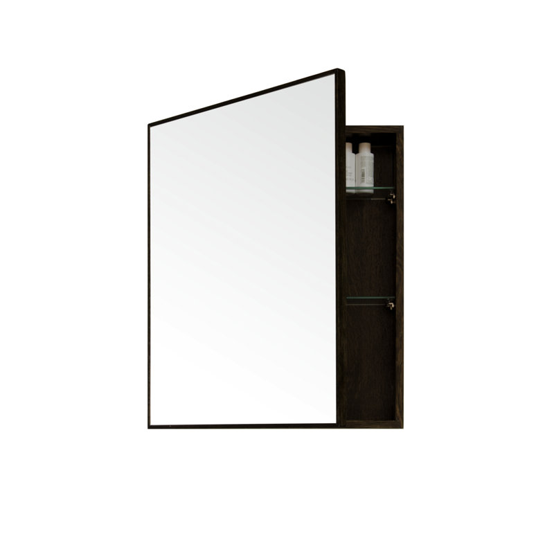 Slimline 18'' W Mirrored Medicine Cabinet, Dark Oak