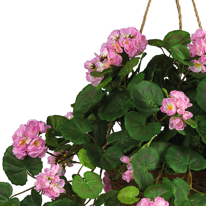 Geranium Hanging Basket Arrangement in Basket