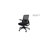 Reach Mesh Back Ergonomic Executive Office Chair with Adjustable Lumbar & Arms, Seat Slide and Tilt Lock, Black Fabric Seat