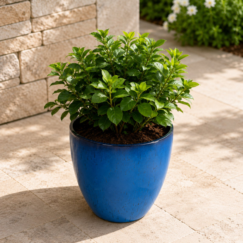 Pot à fleurs intérieur / extérieur en résine synthétique moderne avec soucoupe et écran de drainage, Bleu, Set of 1