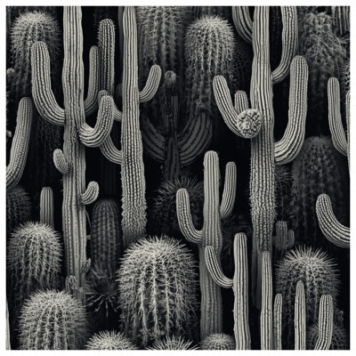 Couvertures à motif de cactus dense
