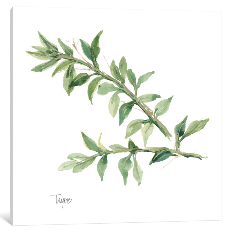 « thyme », reproduction d’art sur toile, H 18 po x l 18 po x P 1,5 po, Toile tendue, Non mat