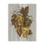 «Autumn Grapes IV on Wood» par Silvia Vassileva, reproduction sur toile tendue-31980450