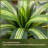5FT UV-Resistant Artificial Dracaena Tree for Home Decor-816192279