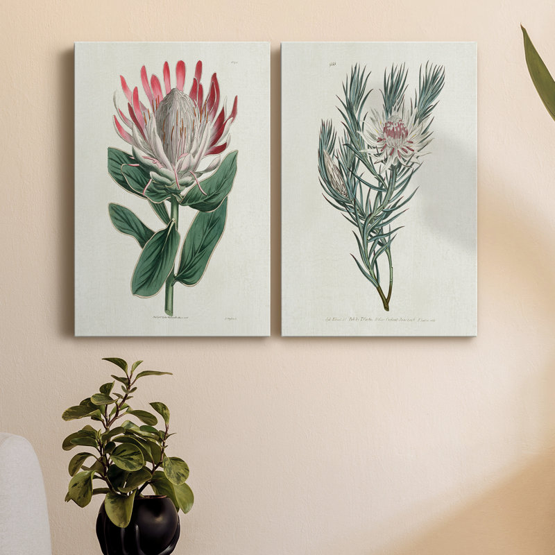Protea N13 - ensemble de 2 impressions, H 12 po x l 16 po x P 1 po, Toile tendue