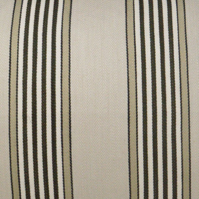 Pennington Fabric