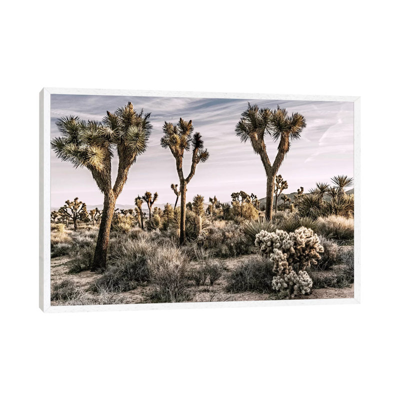 Joshua Tree Views IX by Rachel Perry - Gallery-Wrapped Canvas Giclée on Canvas, 66.04 cm H x 45.72 cm W, White Floater Framed