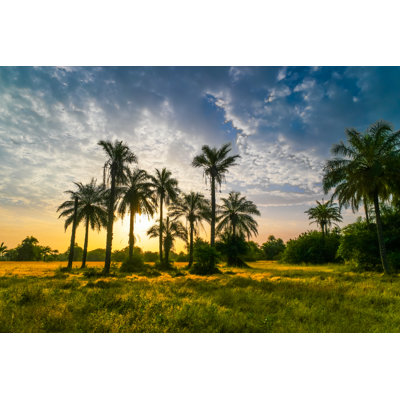 Tropical Sunrise 1 Piece Wrapped Canvas Wall Art