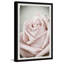 Flower Of Love - Single Picture Frame Painting-1355541284