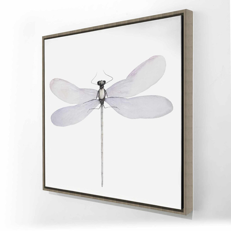 Delicate dragonfly - Insect Gray Framed Canvas