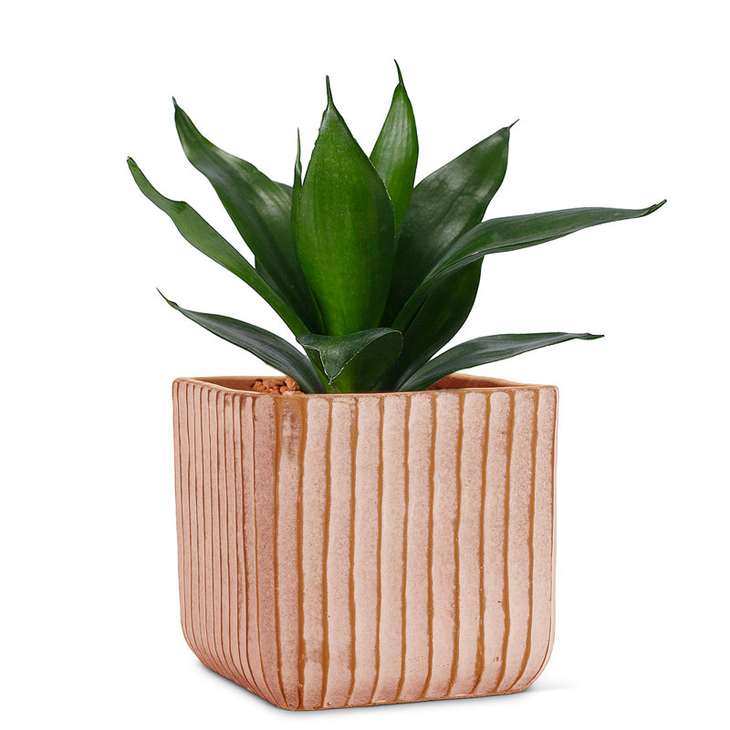 Planter Box, Orange, 6.5" H x 6.5" W x 6.5" D