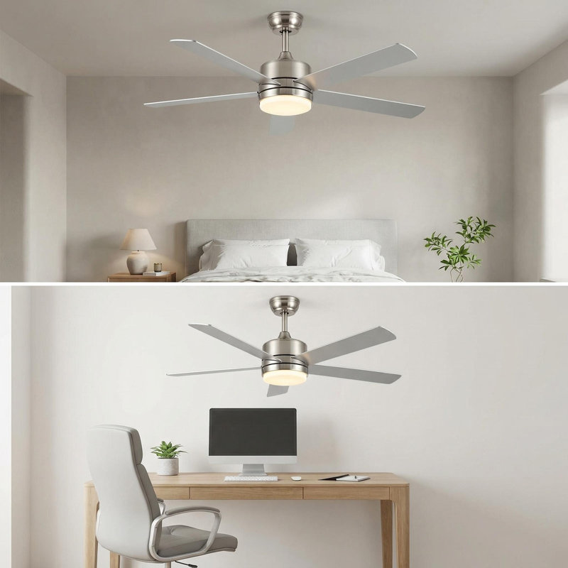 Ceiling Fan