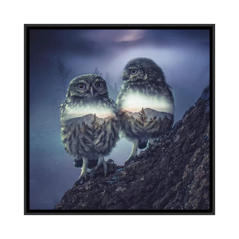 Owl Twins by Paul Haag - Print on Canvas, Black Framed, 66.04 cm H x 66.04 cm W