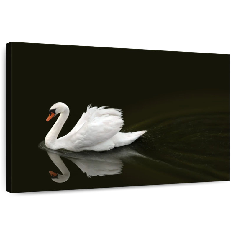 Brampt White Swan Elegance