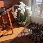 Bayou Breeze Liquid Polymer Orchid Arrangement in Vase & Reviews | Wayfair